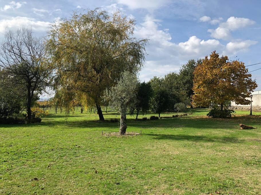 Maison Avec Piscine : Quinta Do Sol Amarante Kültér fotó